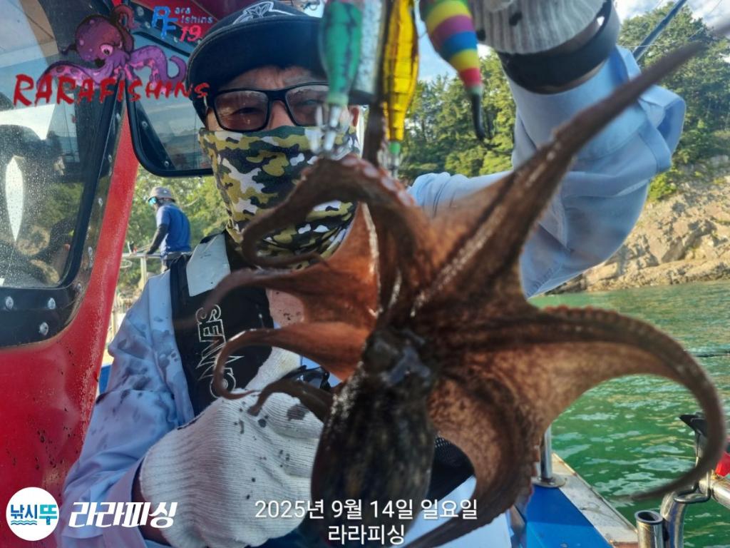낚시뚜,돌문어,속천항(진해),라라피싱,낚시뚜6