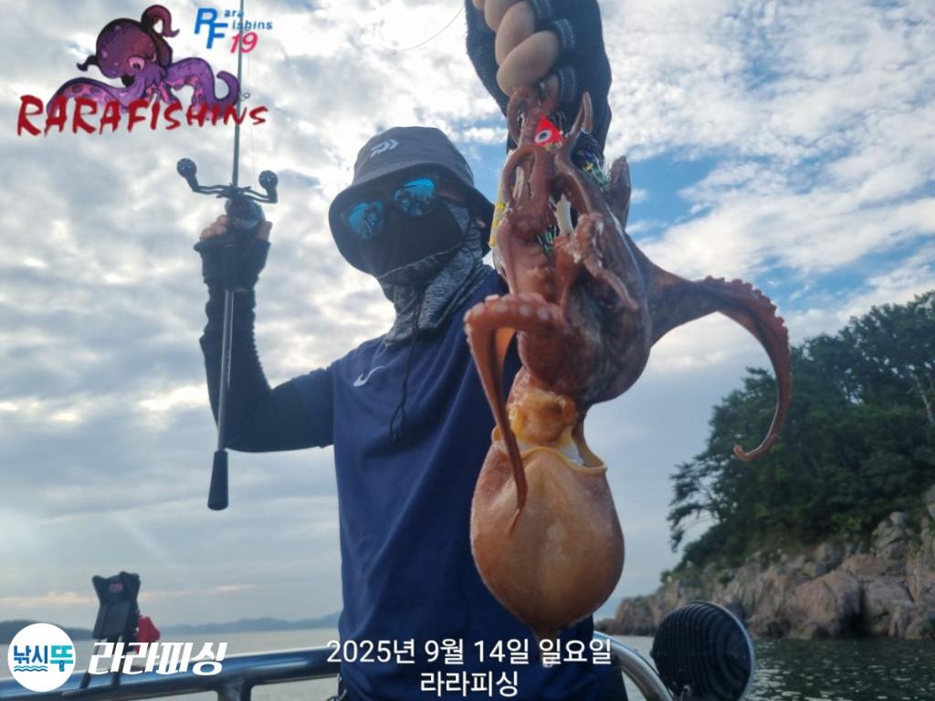낚시뚜,돌문어,속천항(진해),라라피싱,낚시뚜5