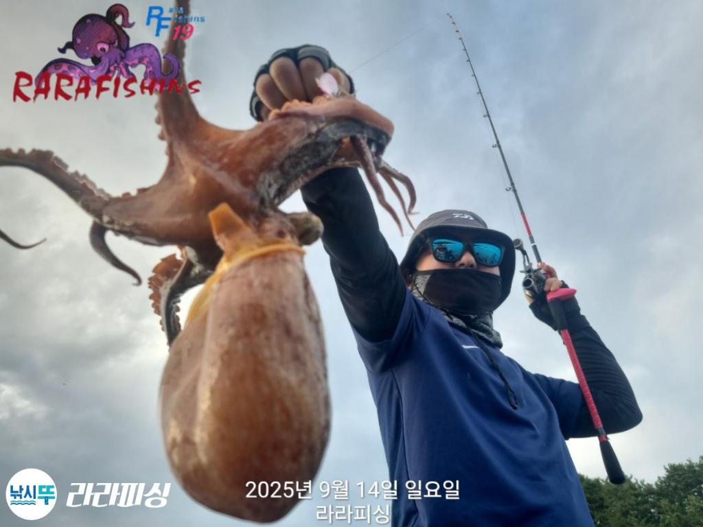 낚시뚜,돌문어,속천항(진해),라라피싱,낚시뚜4