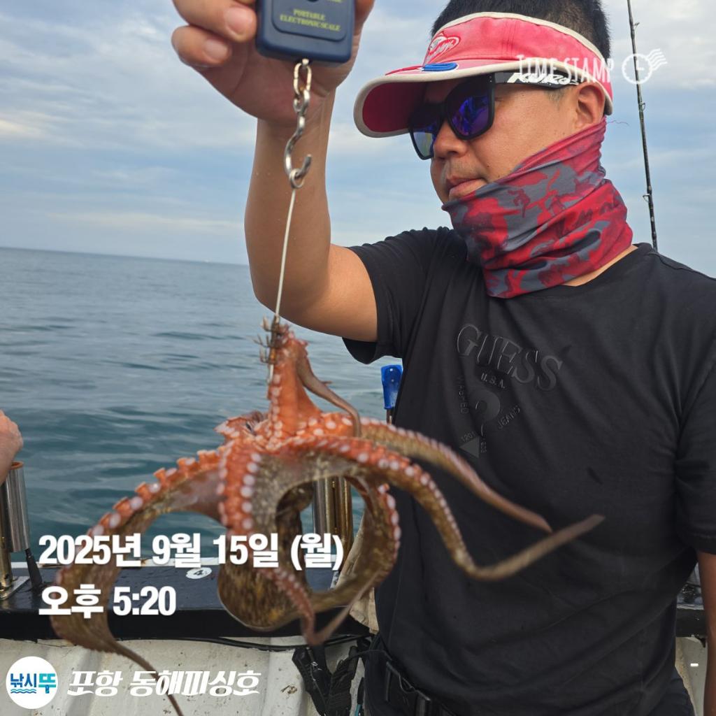 낚시뚜,돌문어,포항(운하관),포항 동해피싱호,낚시뚜4