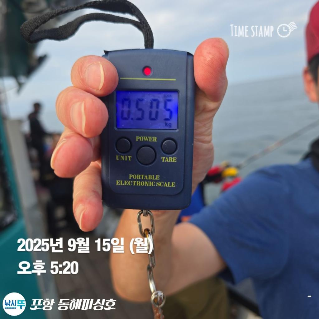 낚시뚜,돌문어,포항(운하관),포항 동해피싱호,낚시뚜1