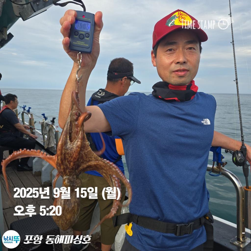 낚시뚜,돌문어,포항(운하관),포항 동해피싱호,낚시뚜0