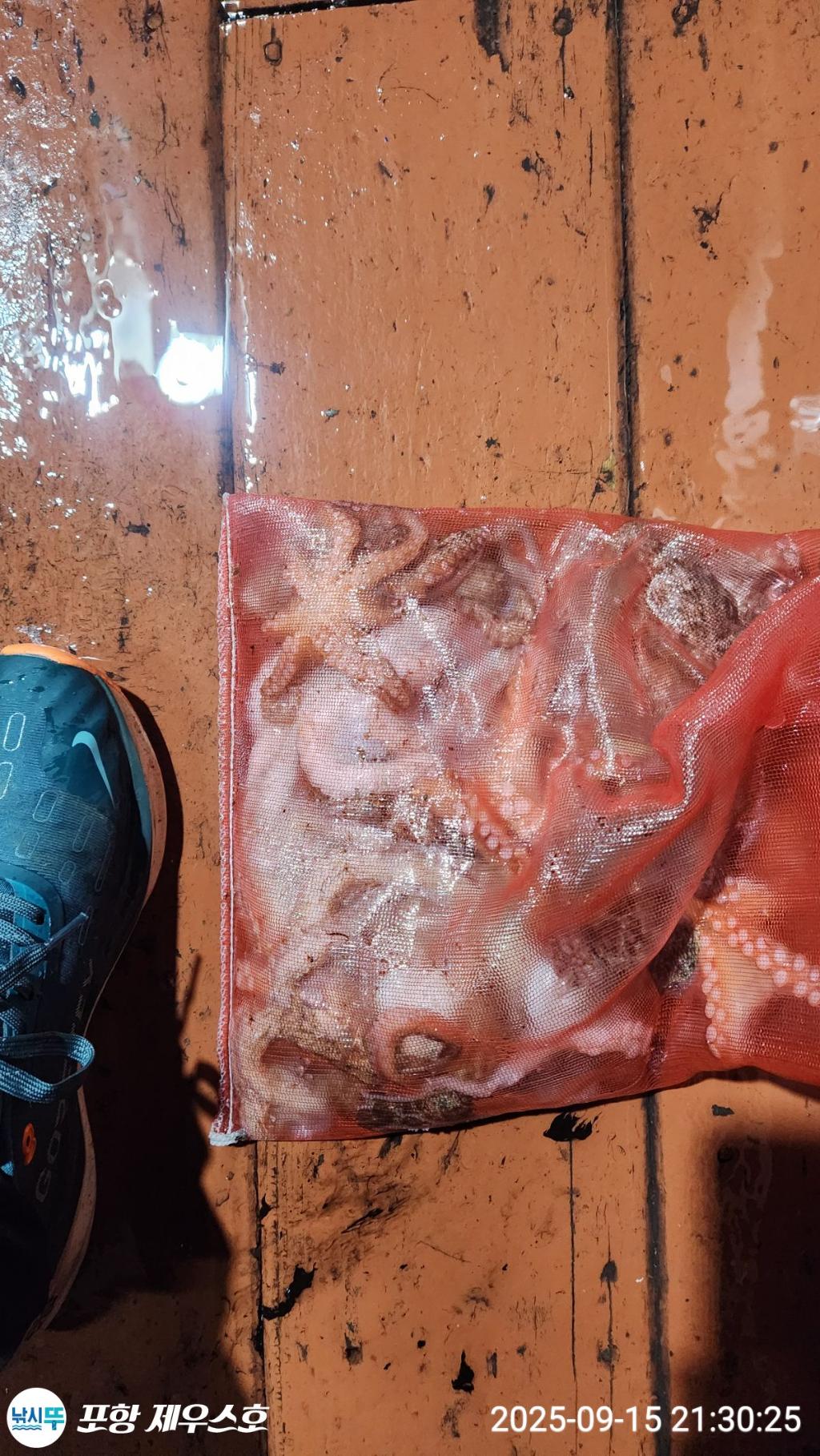 F2777981GS.jpg