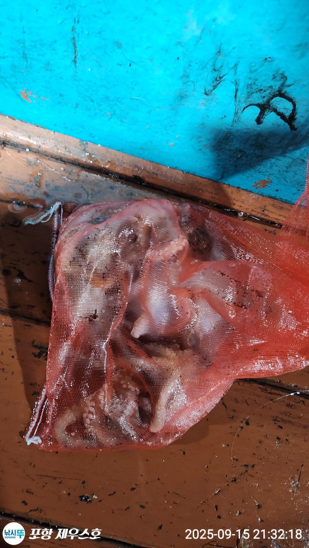 F2777986GX.jpg