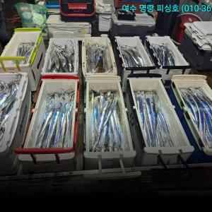 조황, 대장쿨러 조황으로 입항 오늘 자리여유많음 
