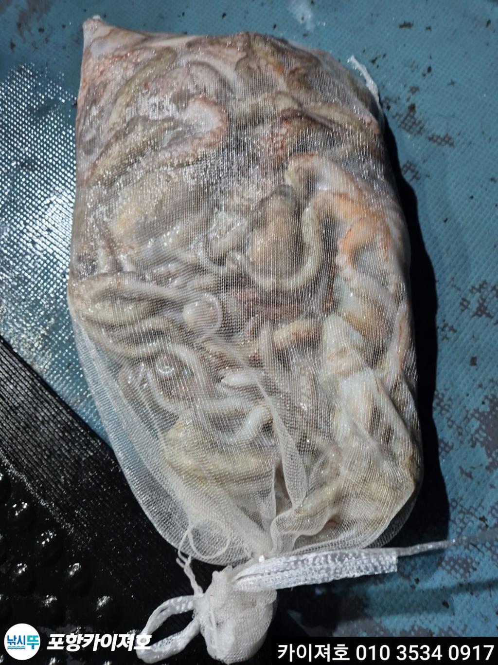 낚시뚜,기타 (직접입력),영일만항,포항카이져호,낚시뚜24