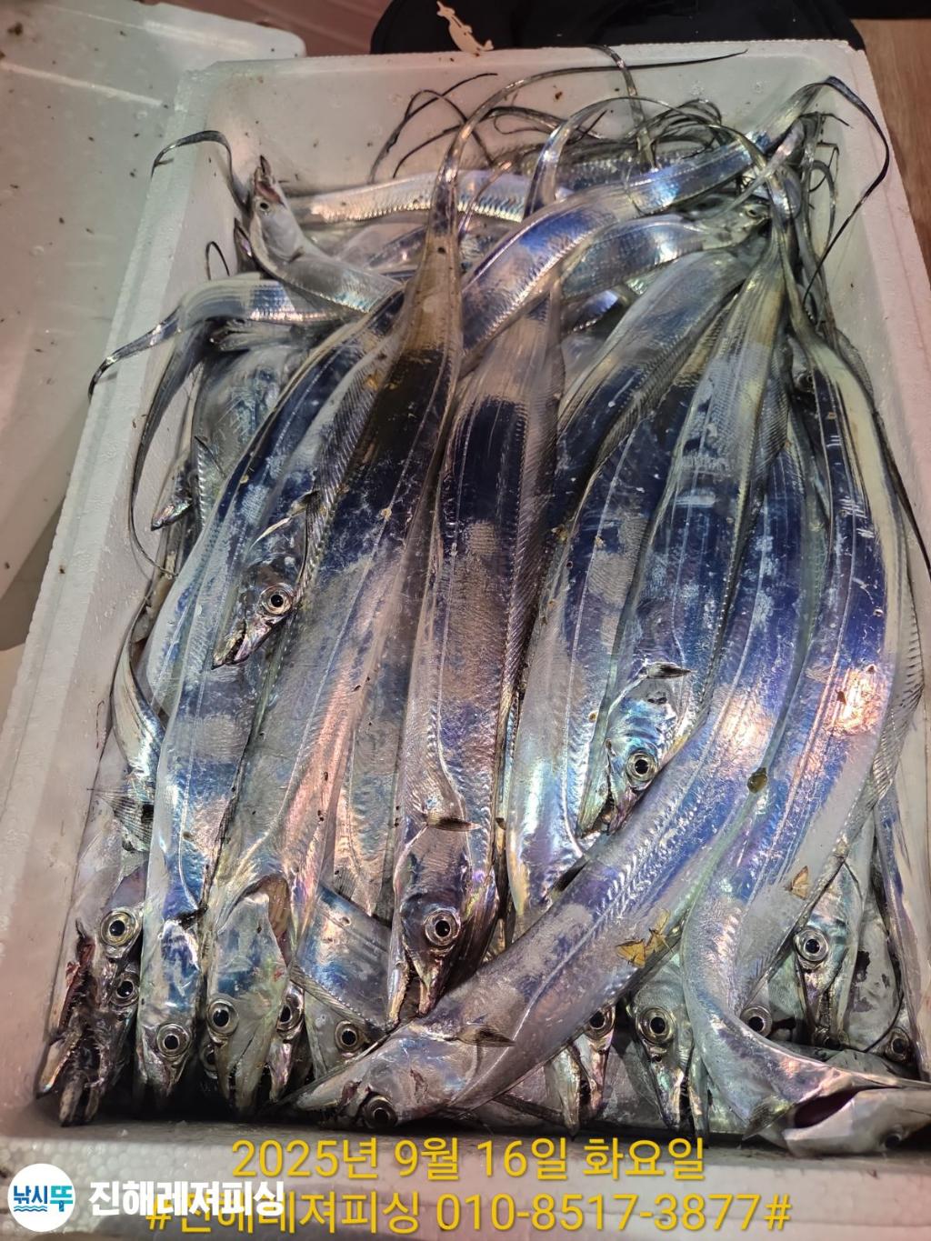 F27782032K.jpg