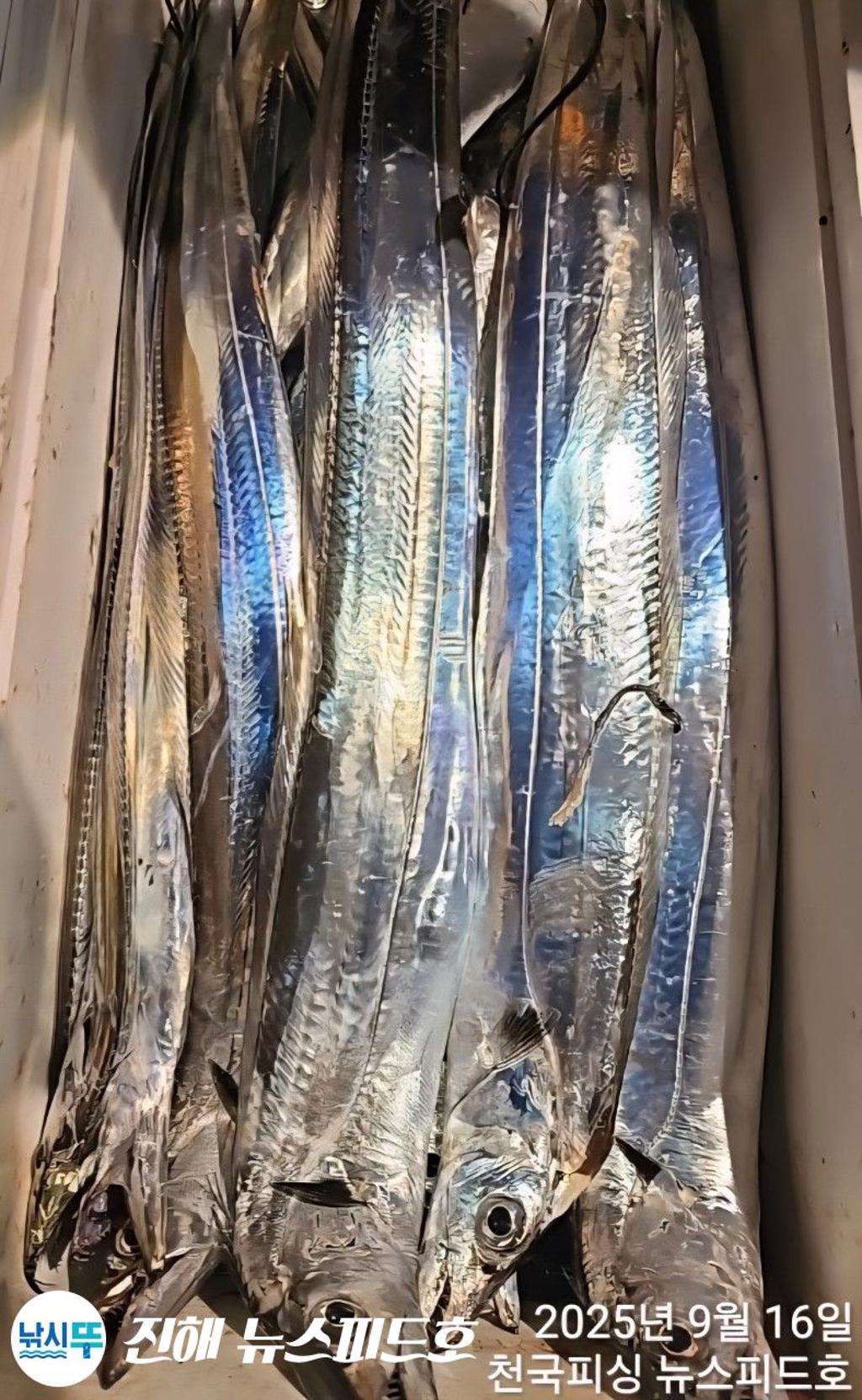 낚시뚜,,진해행암항,진해 뉴스피드호,낚시뚜10