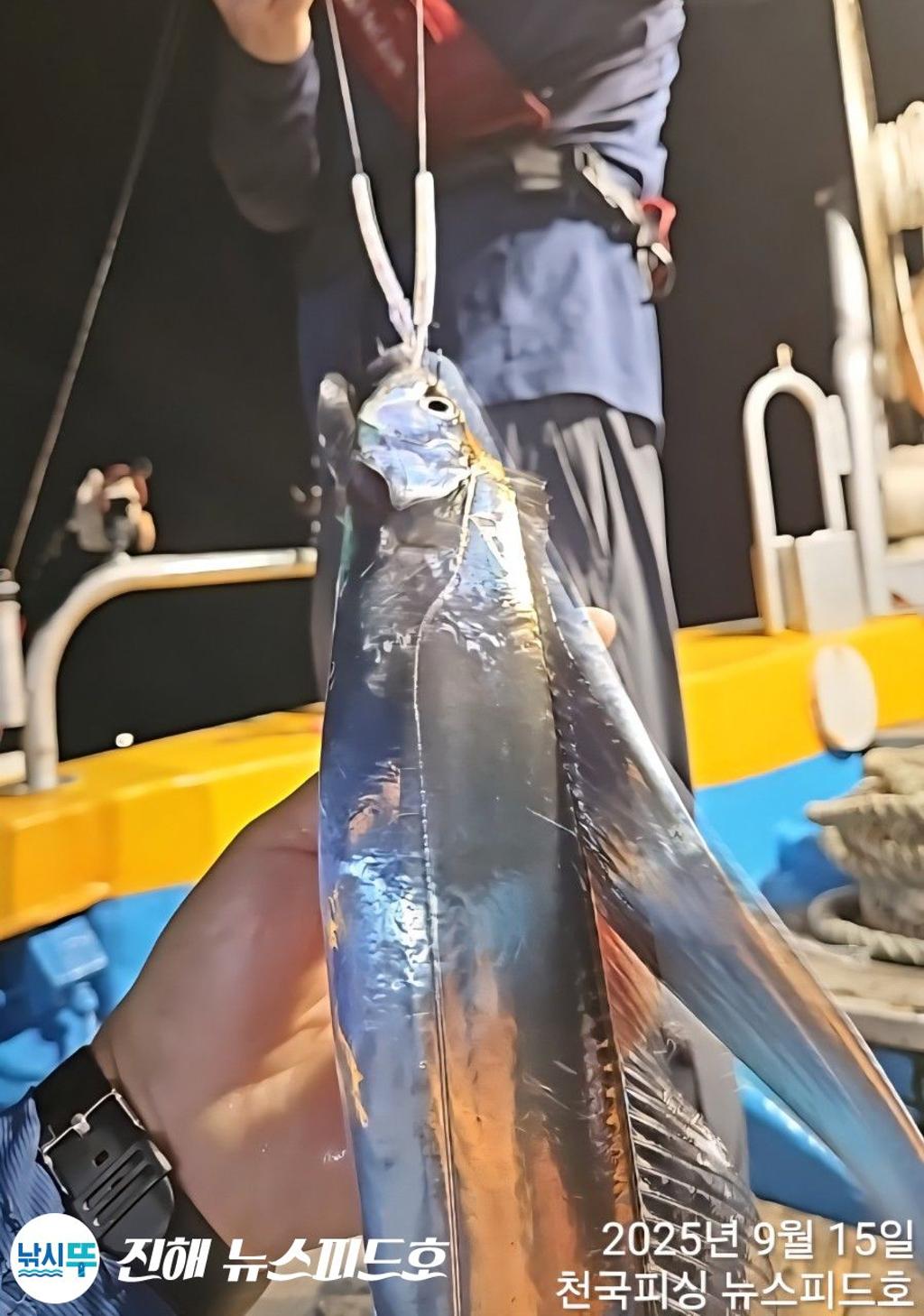 낚시뚜,,진해행암항,진해 뉴스피드호,낚시뚜6