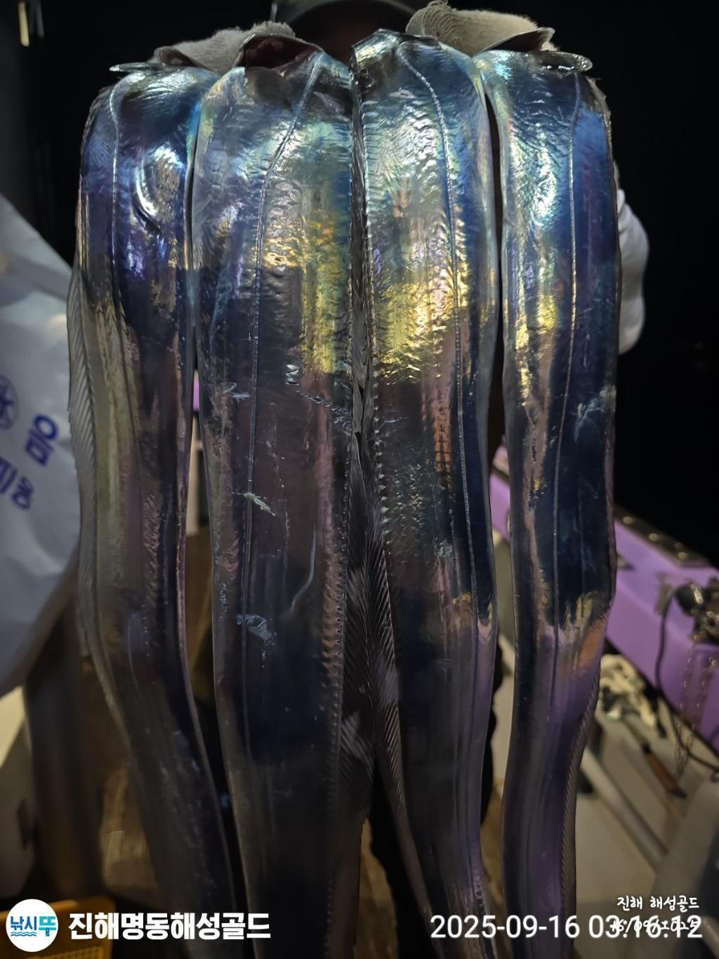 F2778501Y0.jpg