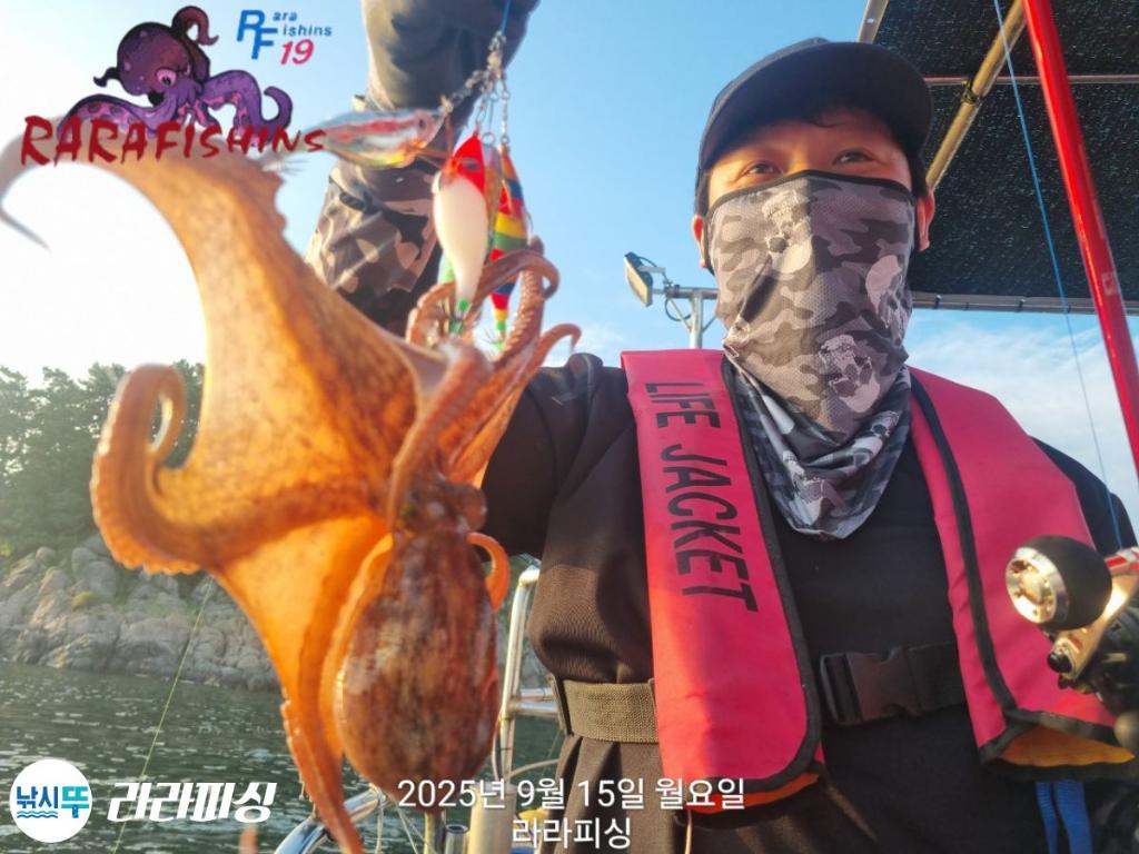 낚시뚜,돌문어,속천항(진해),라라피싱,낚시뚜8