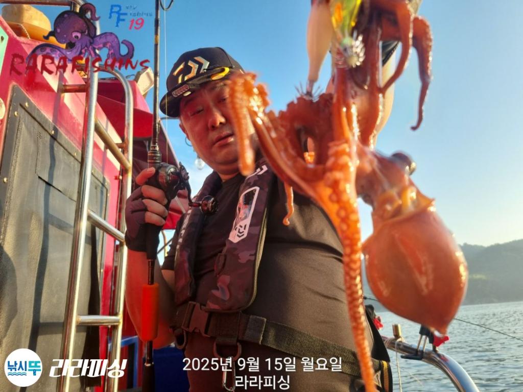 낚시뚜,돌문어,속천항(진해),라라피싱,낚시뚜6