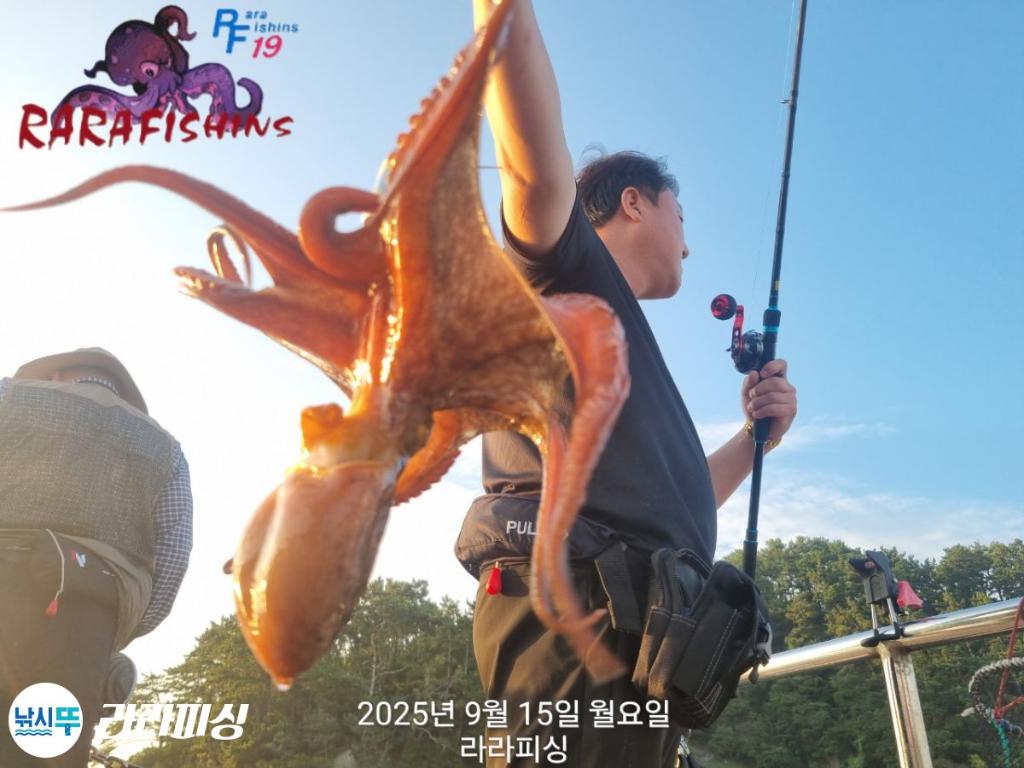 낚시뚜,돌문어,속천항(진해),라라피싱,낚시뚜3