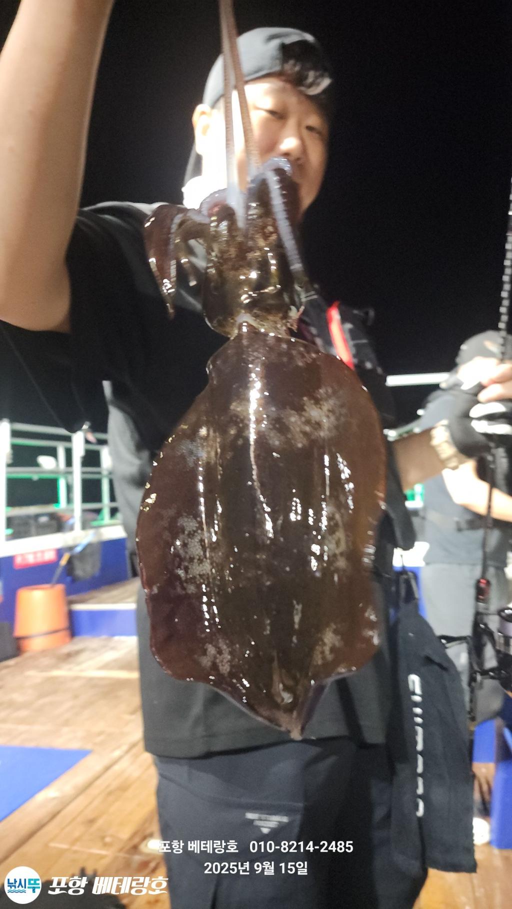 낚시뚜,무늬오징어,구룡포항,포항 베테랑호,낚시뚜8