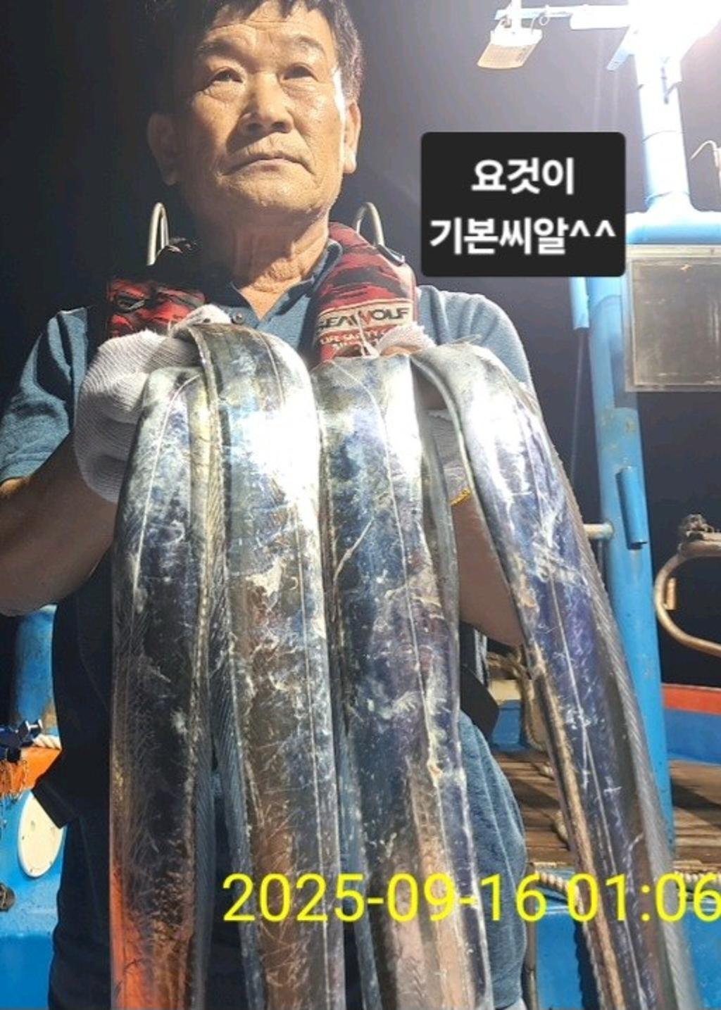 갈치, 삼포대교낚시, 낚시뚜
