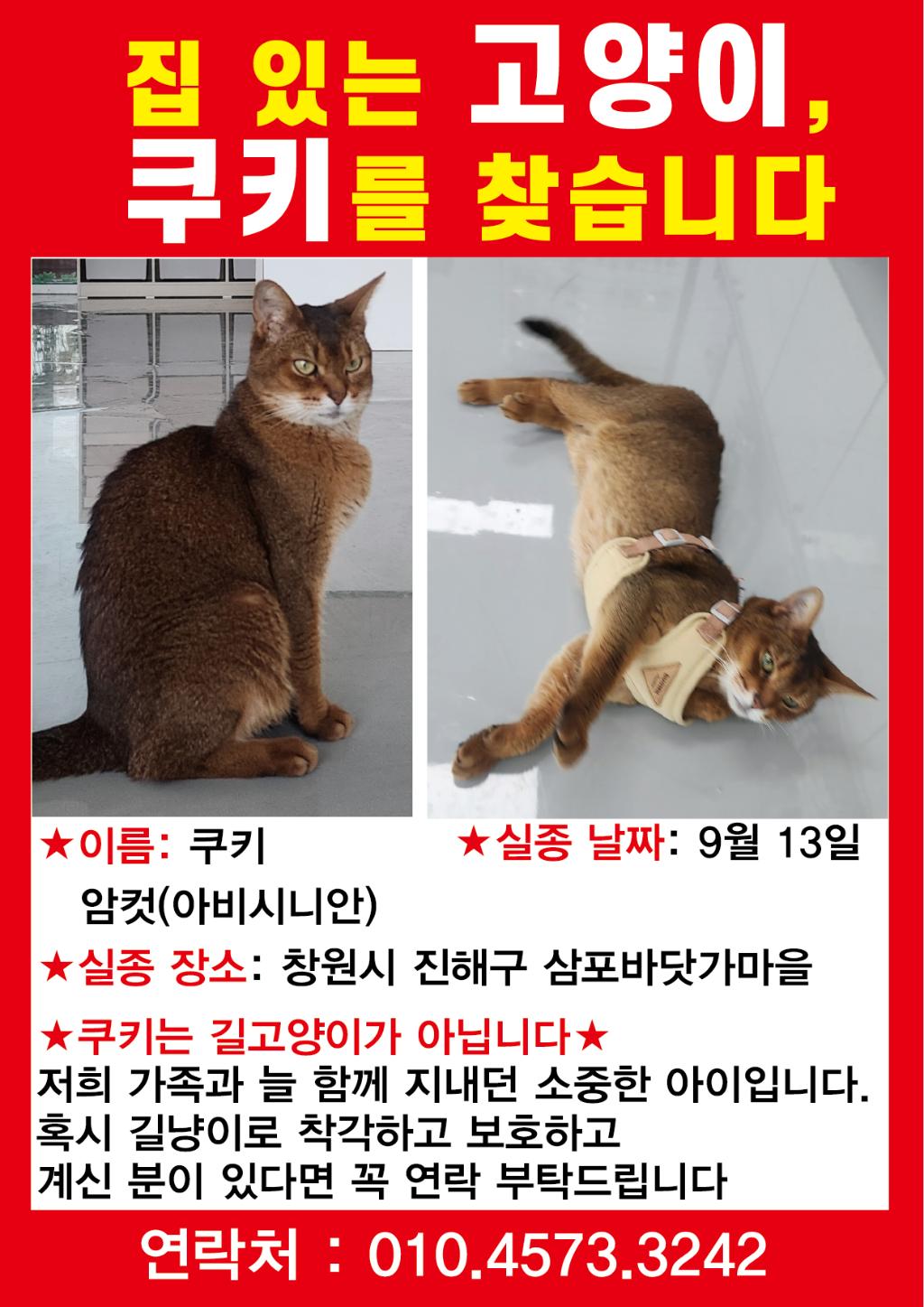 갈치, 삼포대교낚시, 낚시뚜