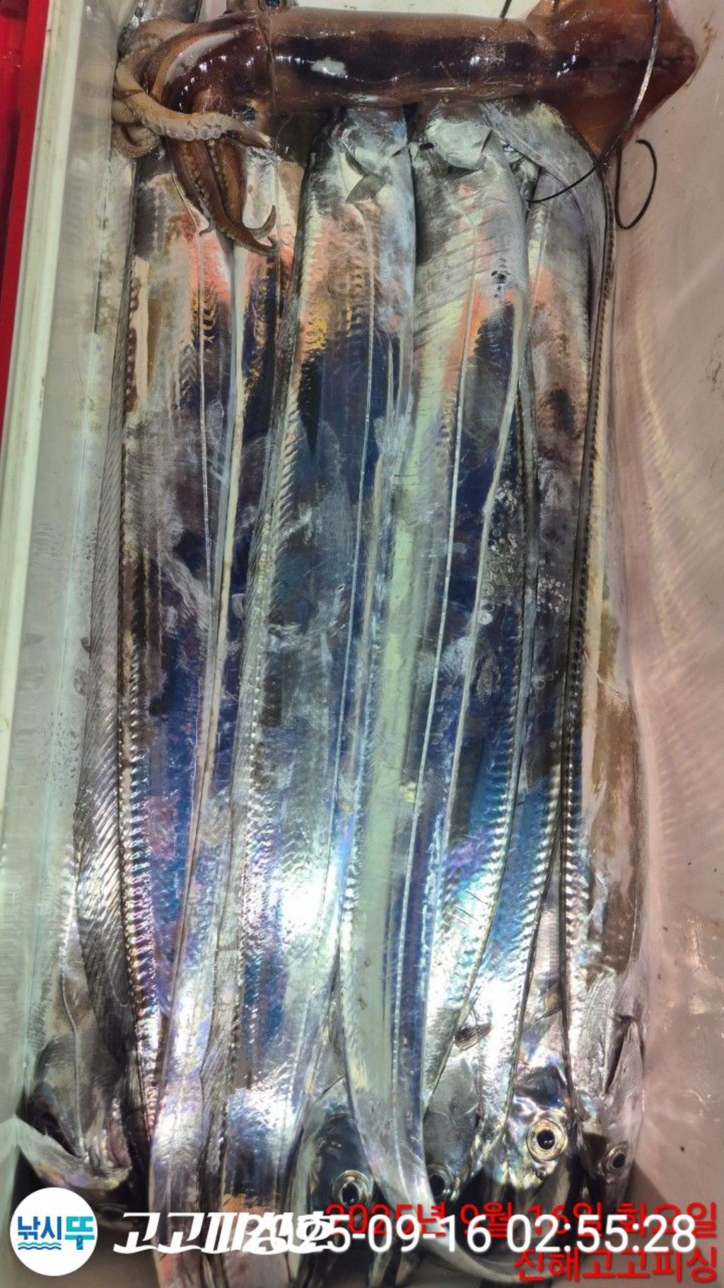 F27787792Y.jpg
