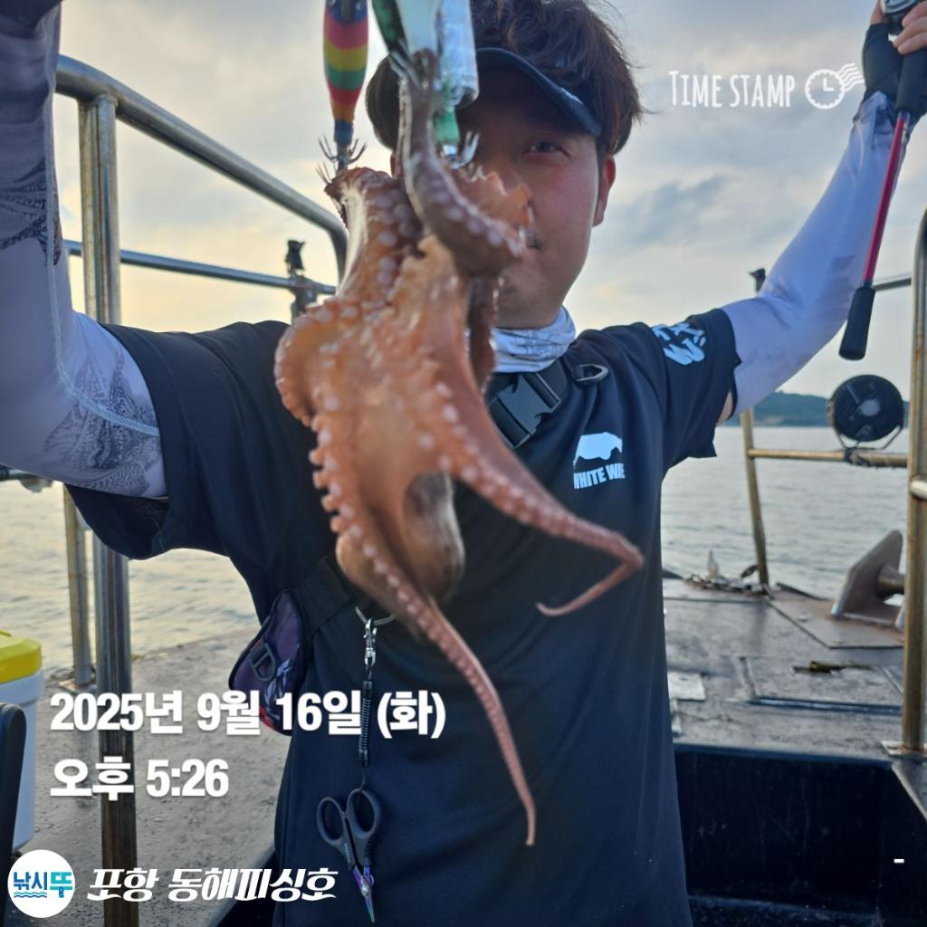 낚시뚜,돌문어,포항(운하관),포항 동해피싱호,낚시뚜7