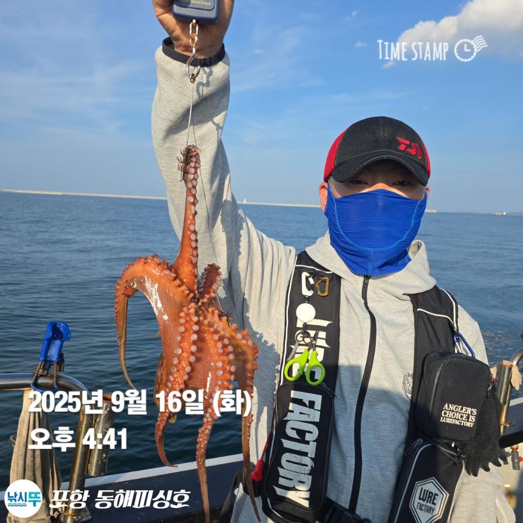 낚시뚜,돌문어,포항(운하관),포항 동해피싱호,낚시뚜5