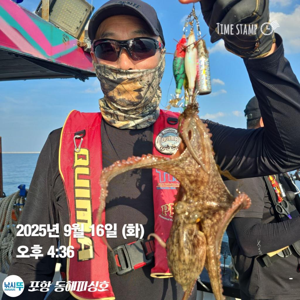 낚시뚜,돌문어,포항(운하관),포항 동해피싱호,낚시뚜4