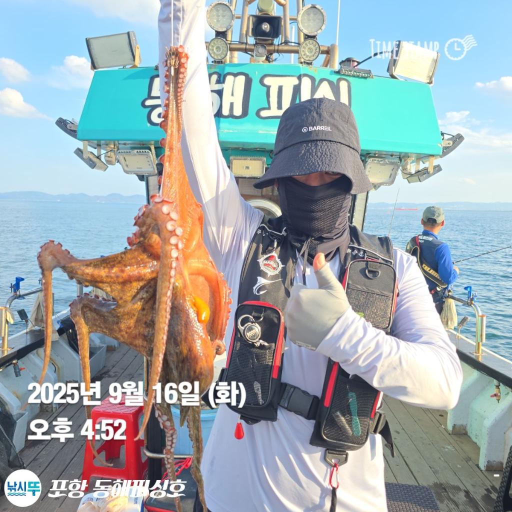 낚시뚜,돌문어,포항(운하관),포항 동해피싱호,낚시뚜2