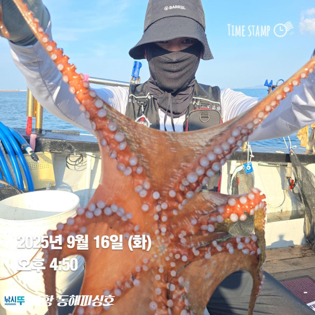 낚시뚜,돌문어,포항(운하관),포항 동해피싱호,낚시뚜0