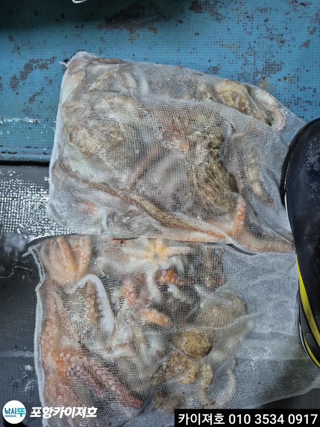 낚시뚜,기타 (직접입력),영일만항,포항카이져호,낚시뚜26