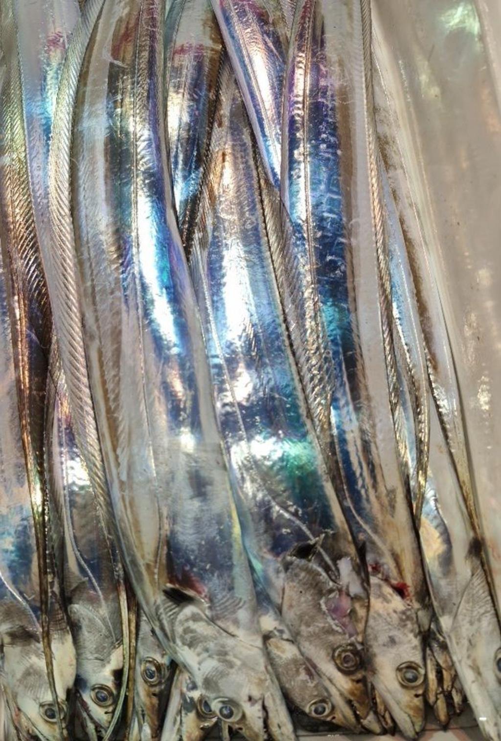 F2778972UM.jpg