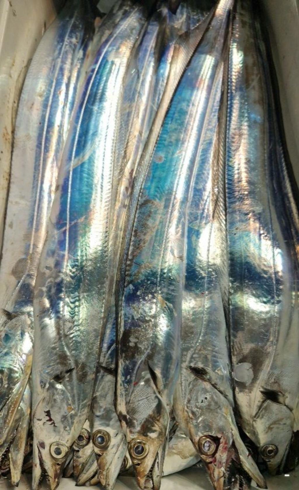 F27789732E.jpg