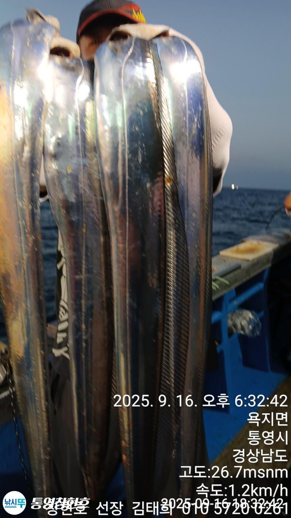 F2779056Z1.jpg