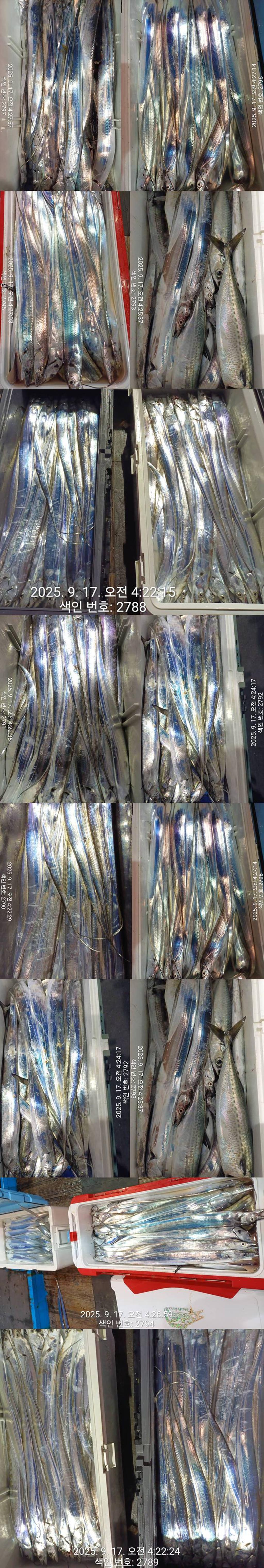 F2779071CM.jpg