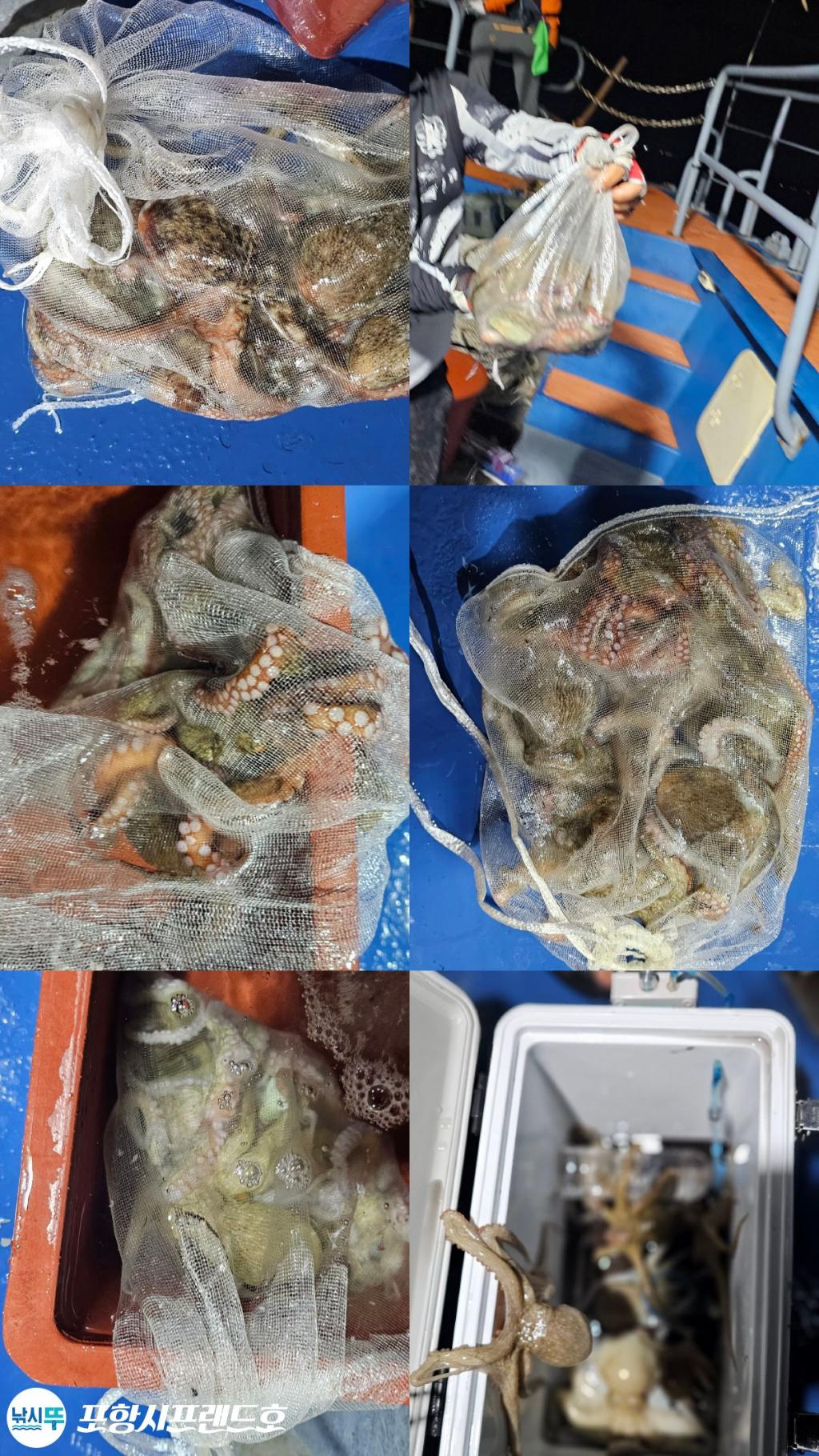 F2779077DR.jpg