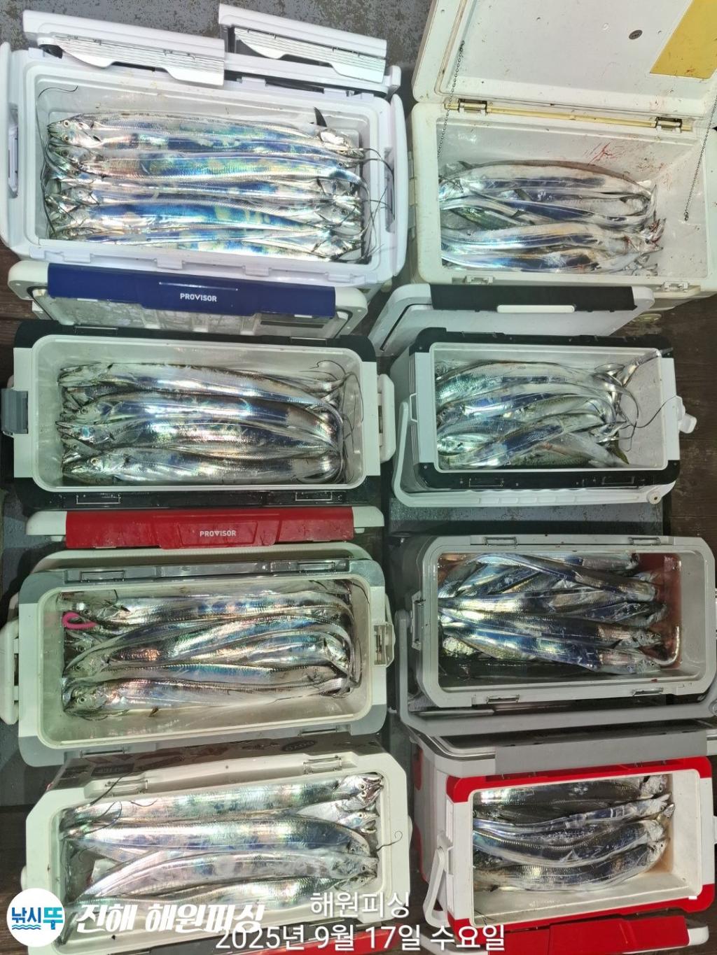 F2779114UQ.jpg