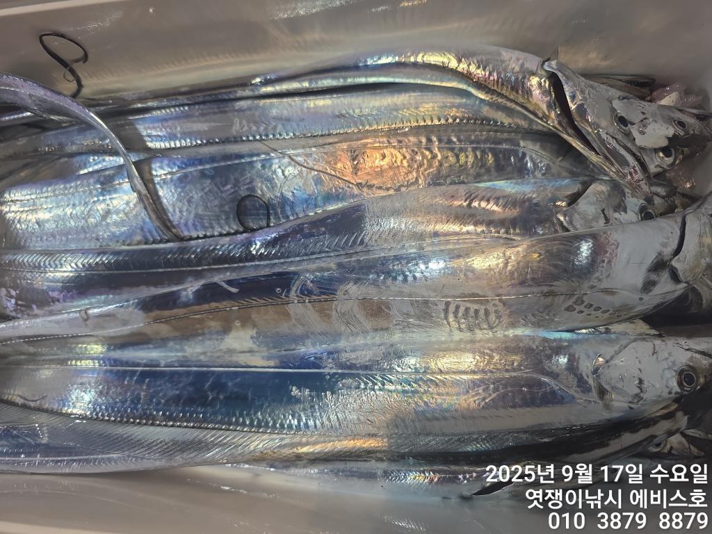 F2779158U0.jpg
