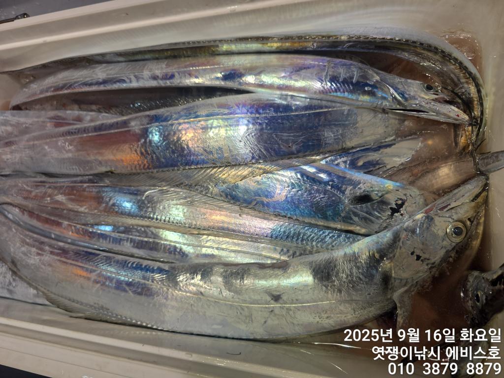F2779182BY.jpg