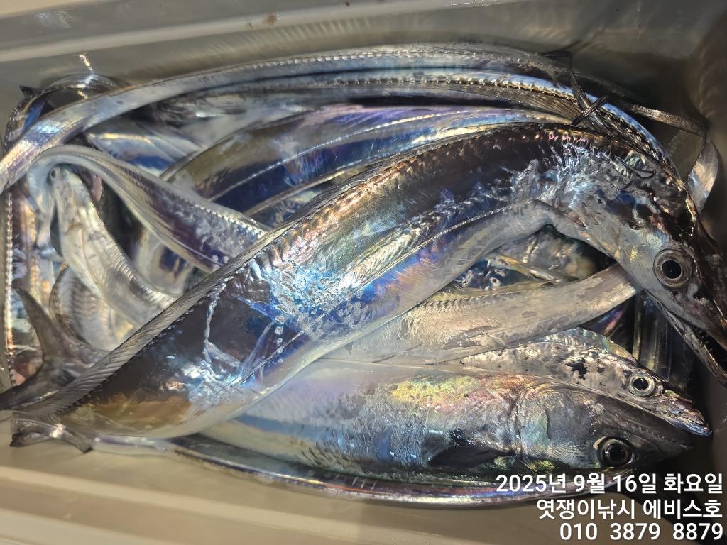 F27791836O.jpg