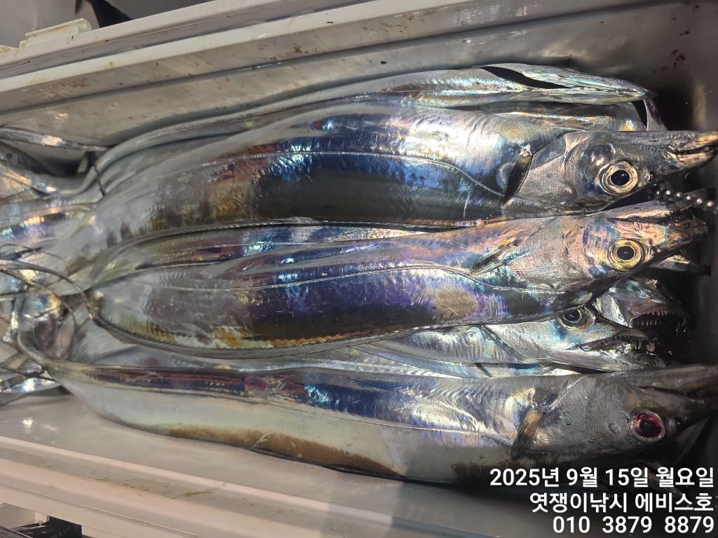 F2779206QZ.jpg