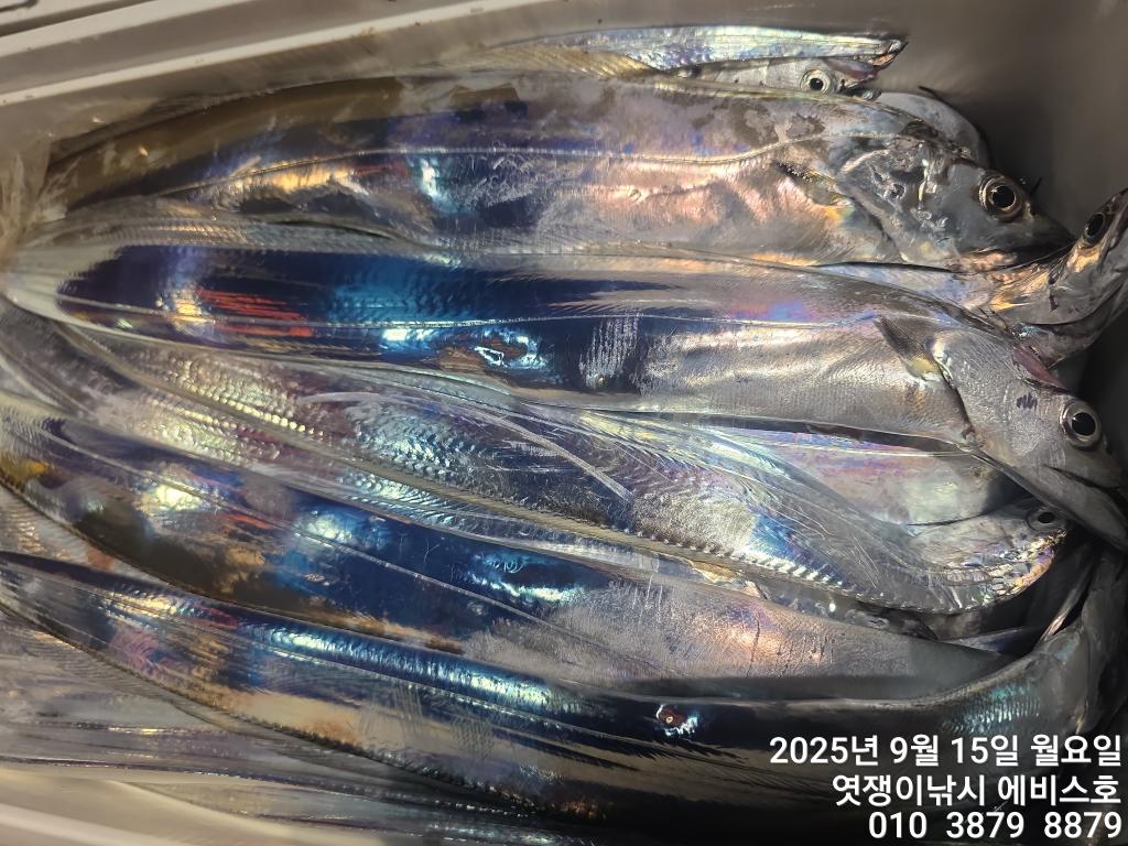 F27792077P.jpg