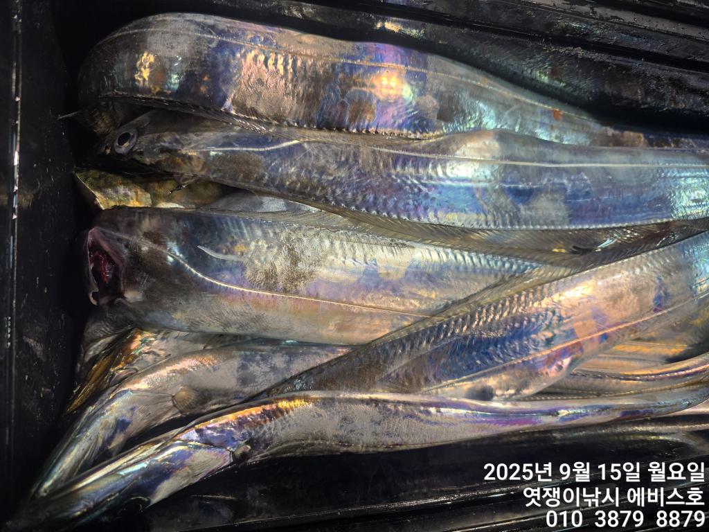 F2779209CI.jpg