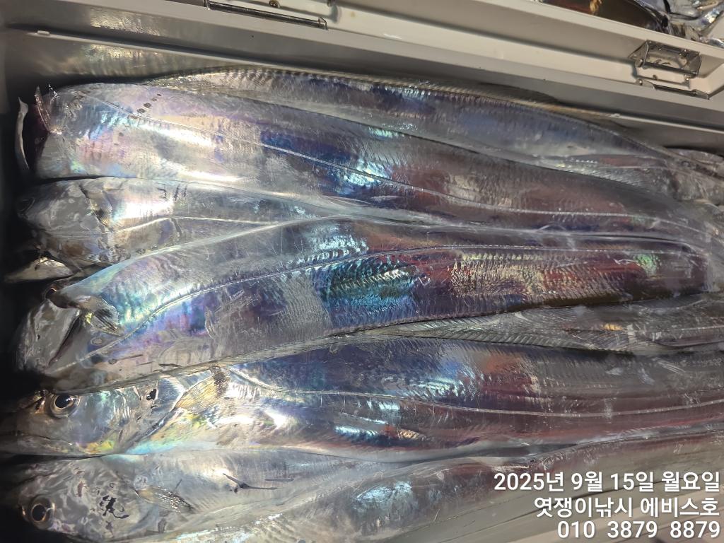 F2779211UG.jpg