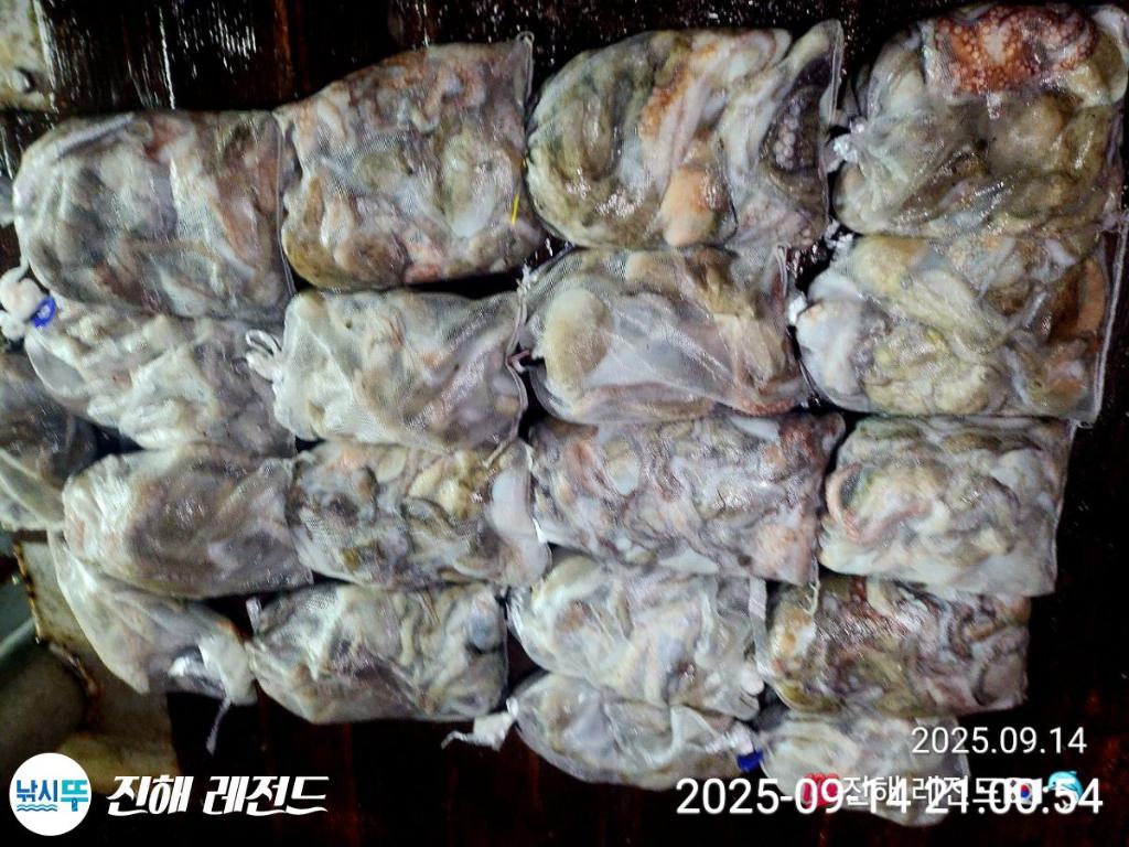 F2779263OH.jpg