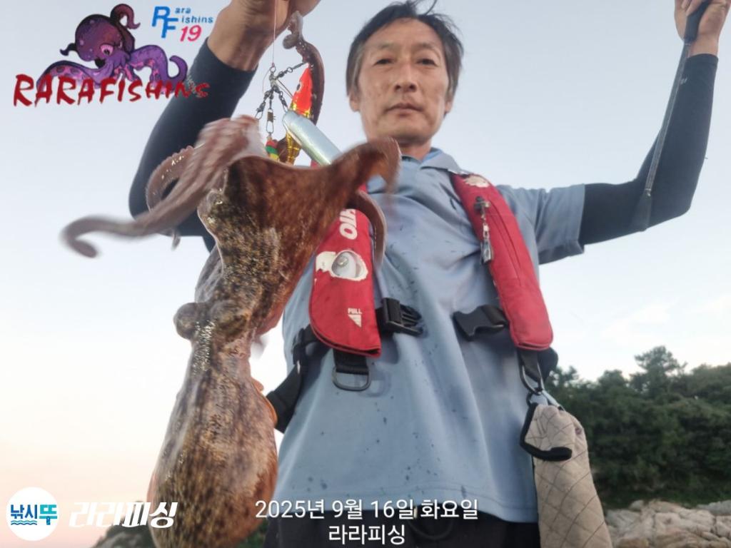 낚시뚜,돌문어,속천항(진해),라라피싱,낚시뚜16