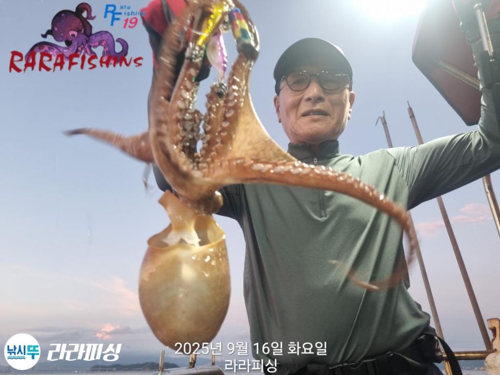 낚시뚜,돌문어,속천항(진해),라라피싱,낚시뚜15