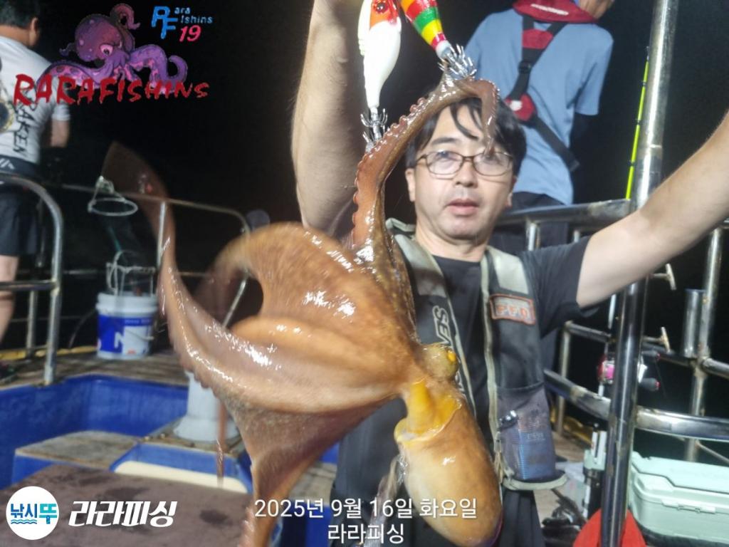 낚시뚜,돌문어,속천항(진해),라라피싱,낚시뚜12