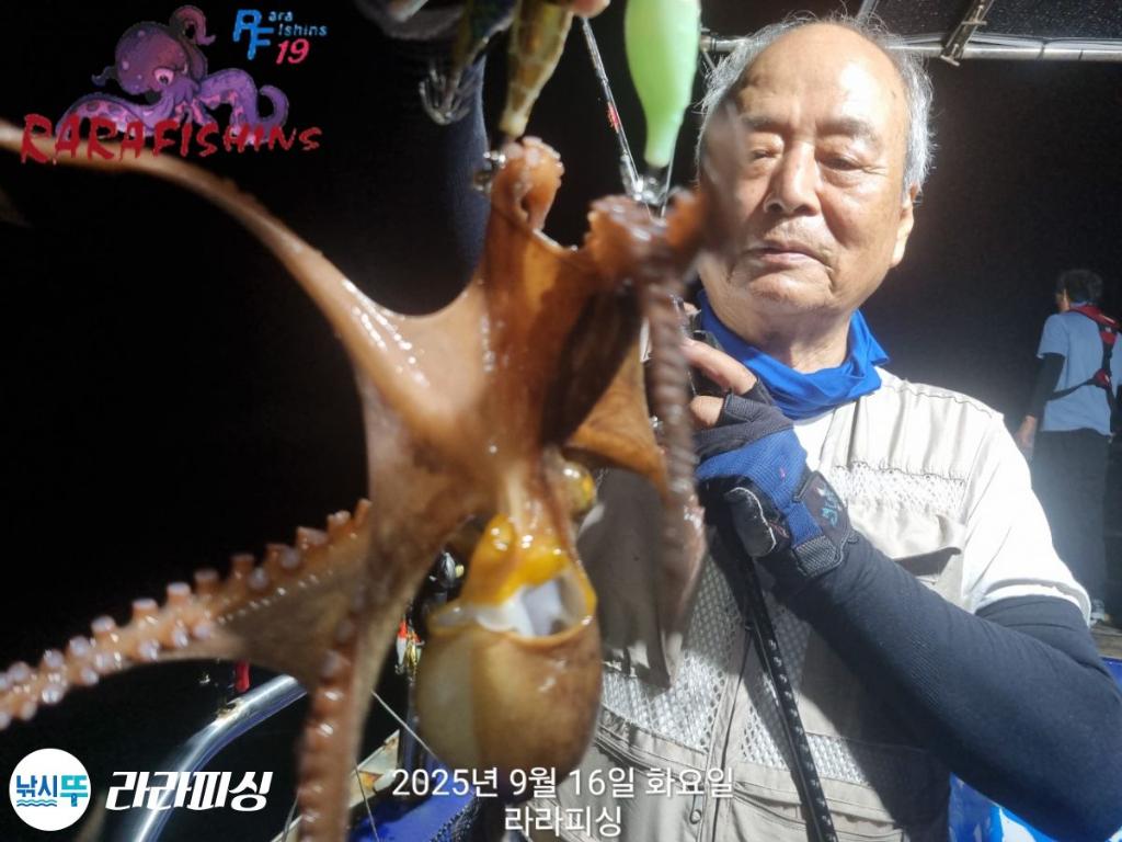 낚시뚜,돌문어,속천항(진해),라라피싱,낚시뚜8