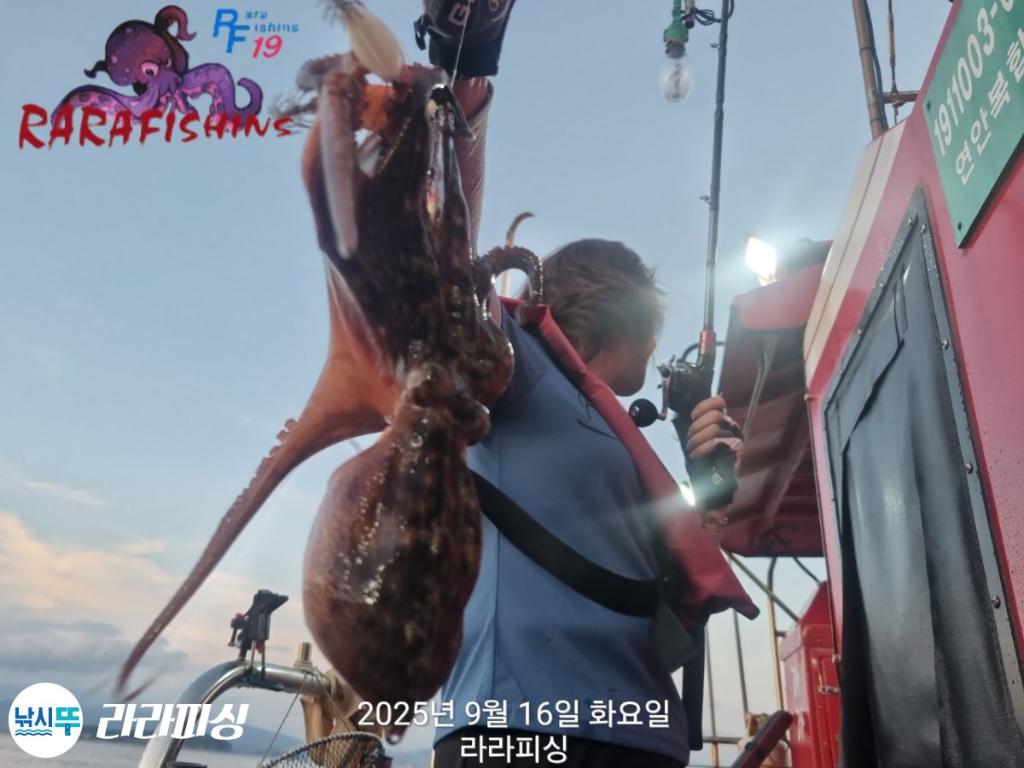 낚시뚜,돌문어,속천항(진해),라라피싱,낚시뚜6
