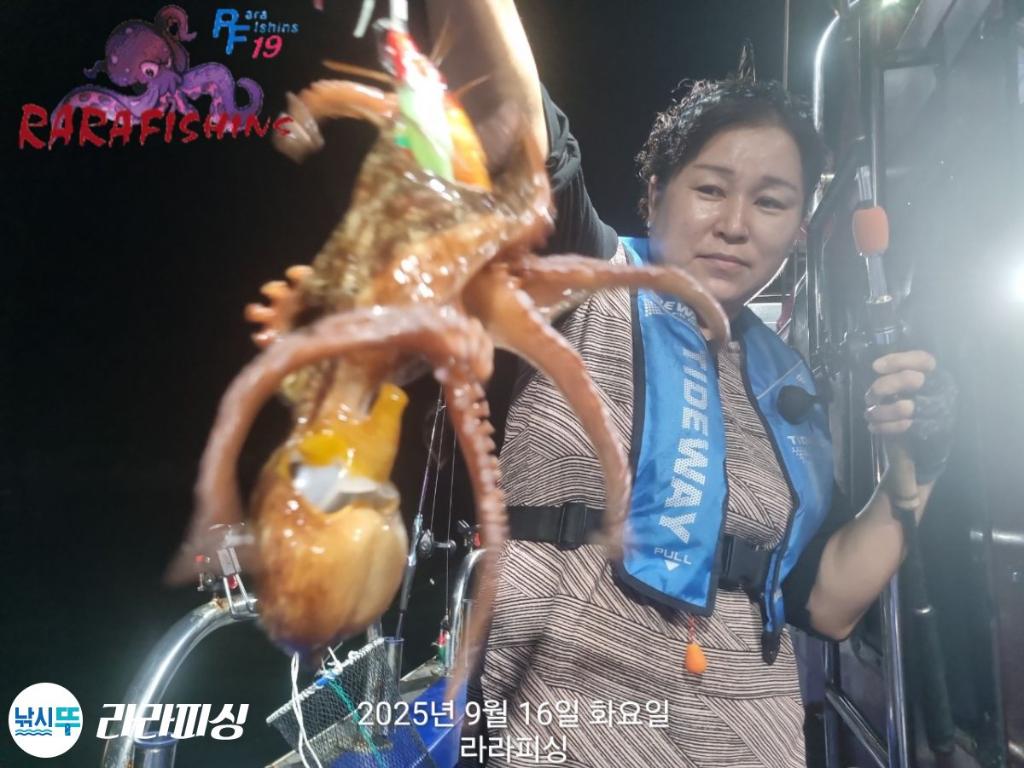낚시뚜,돌문어,속천항(진해),라라피싱,낚시뚜5