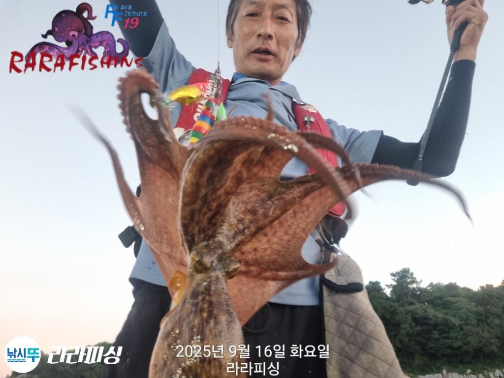 낚시뚜,돌문어,속천항(진해),라라피싱,낚시뚜5