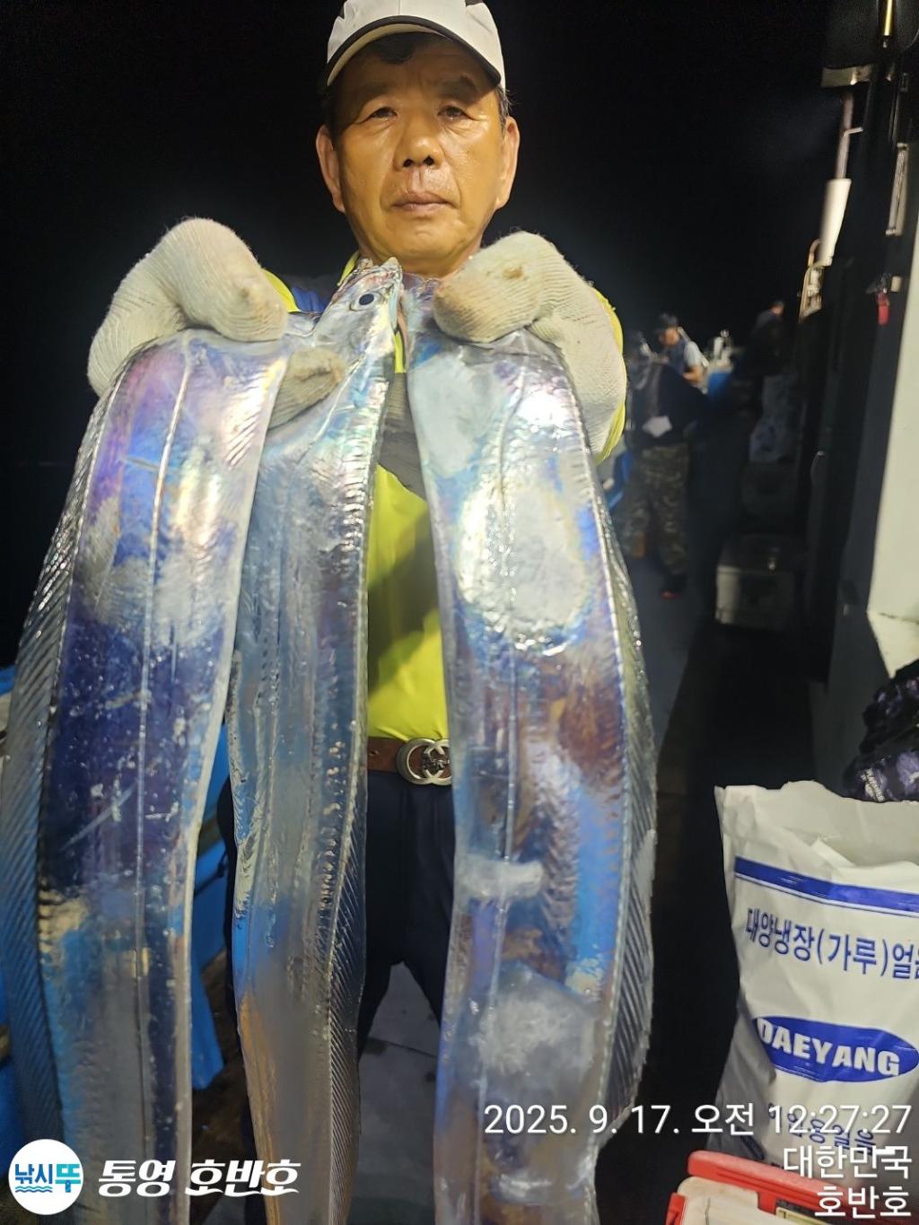 낚시뚜,갈치,통영 신전항,통영호반호,낚시뚜12