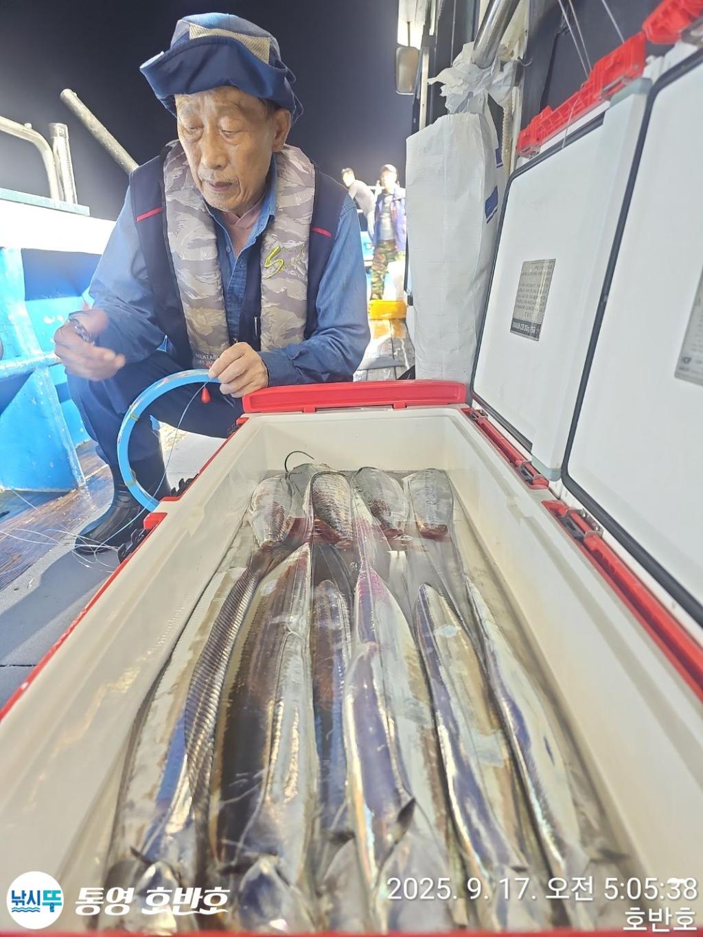 낚시뚜,갈치,통영 신전항,통영호반호,낚시뚜2